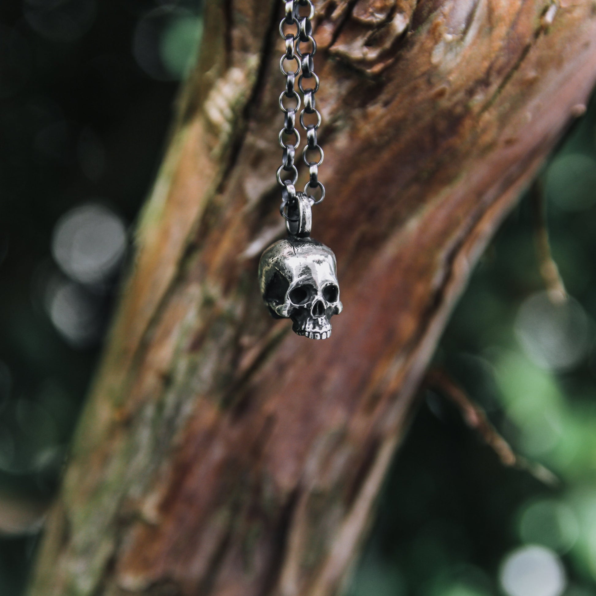 skull pendant gift for Men
