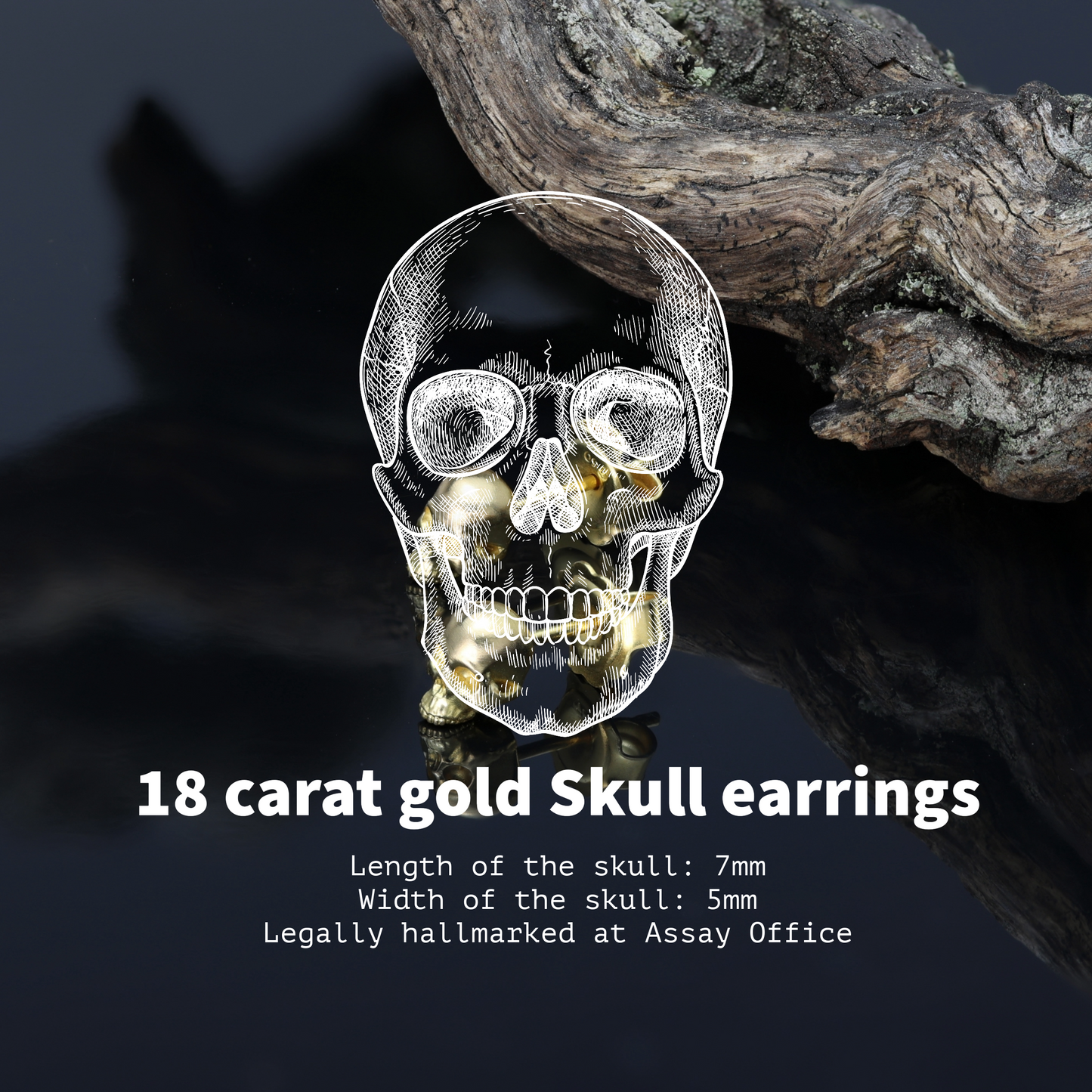 18ct Skull earrings